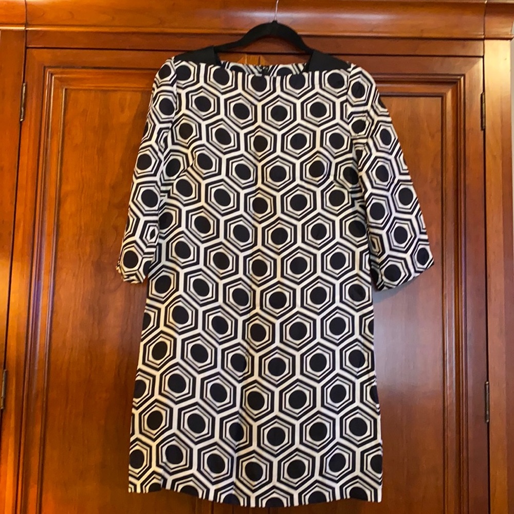 Milly Silk Shift with 3/4 Sleeves